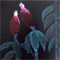 Costus